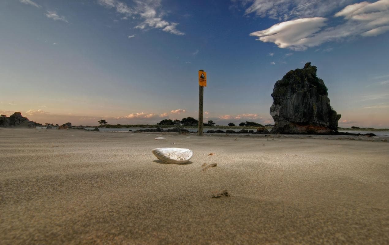 Sumner Beach