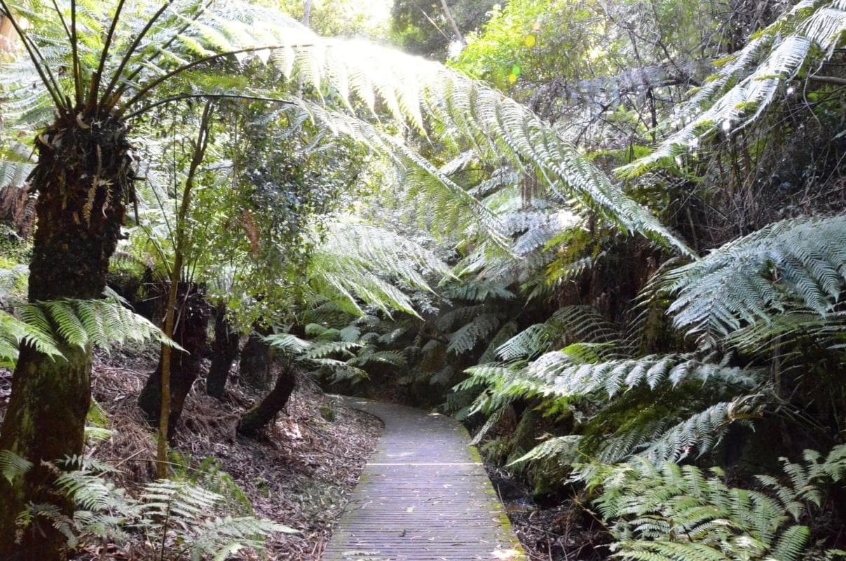 George Brown Darwin Botanischer Garten