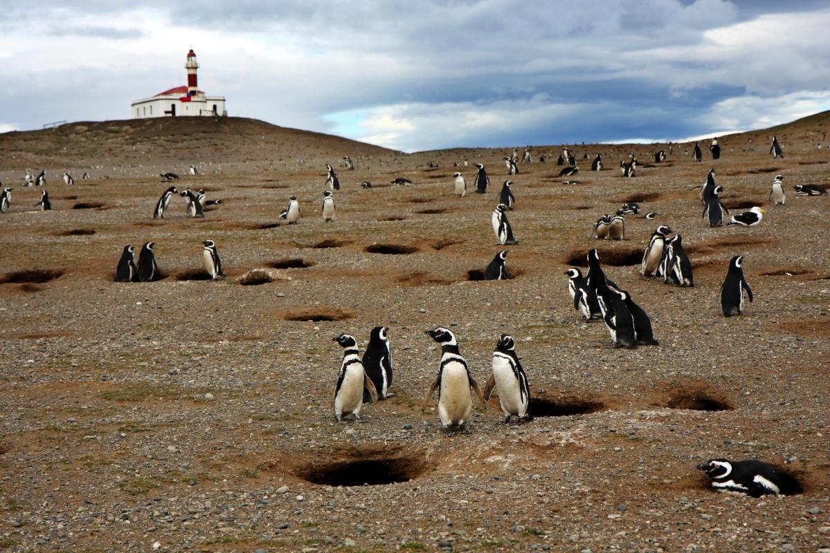 Magdalena Island (Isla Magdalena)