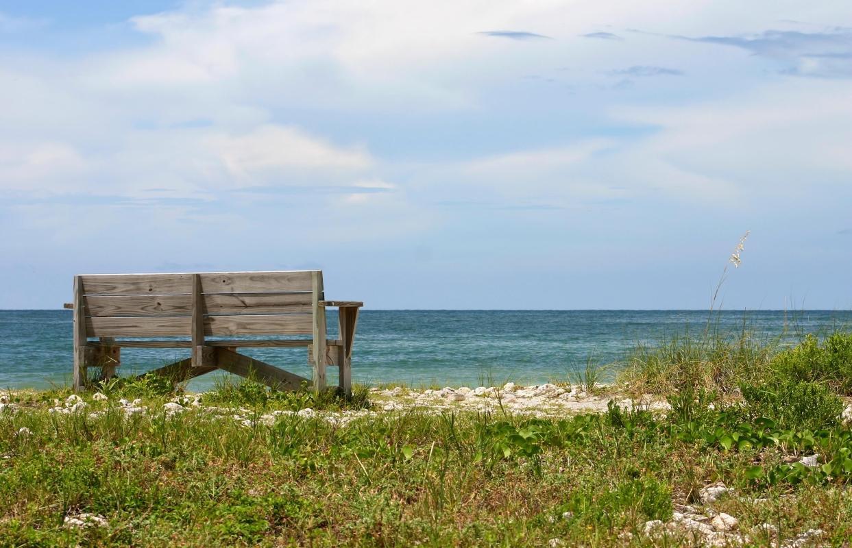 Honeymoon Island