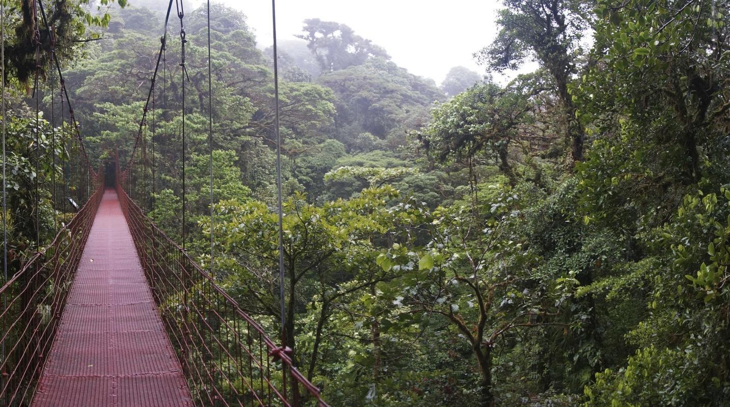 Monteverde Cloud Forest Biological Preserve