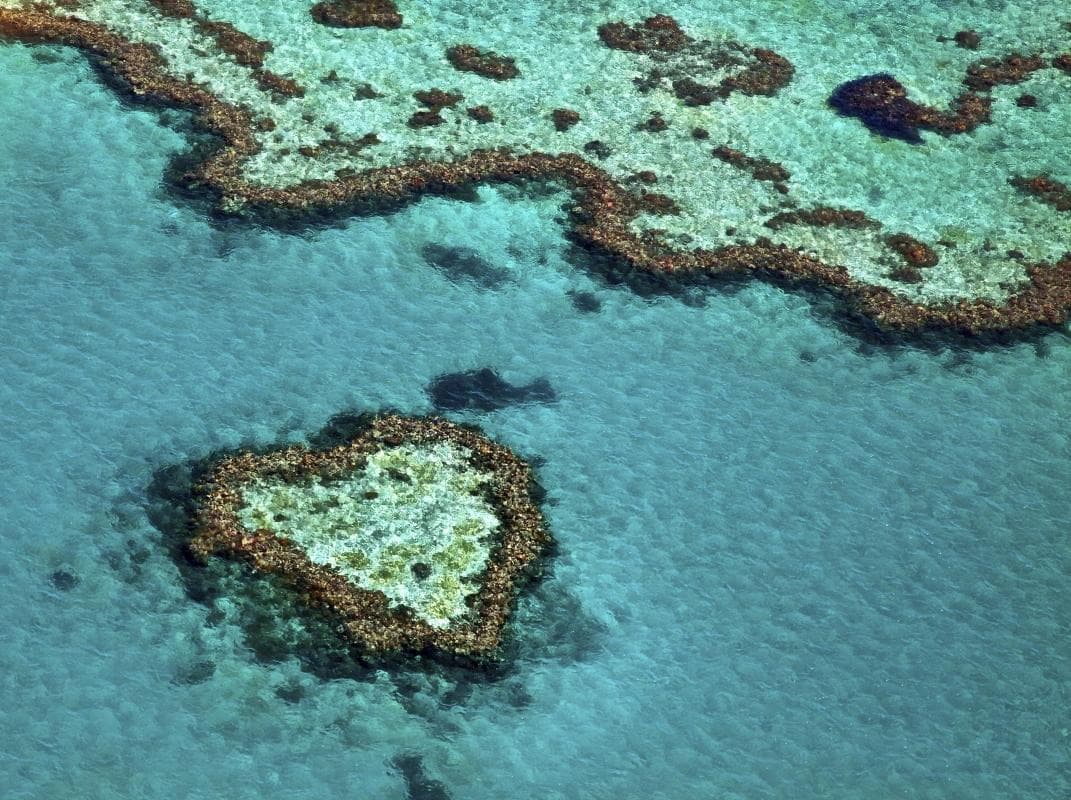 Heart Reef