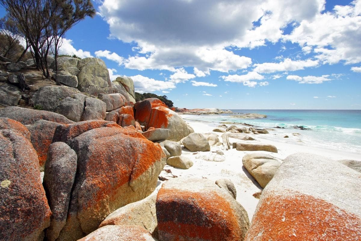 Bay of Fires