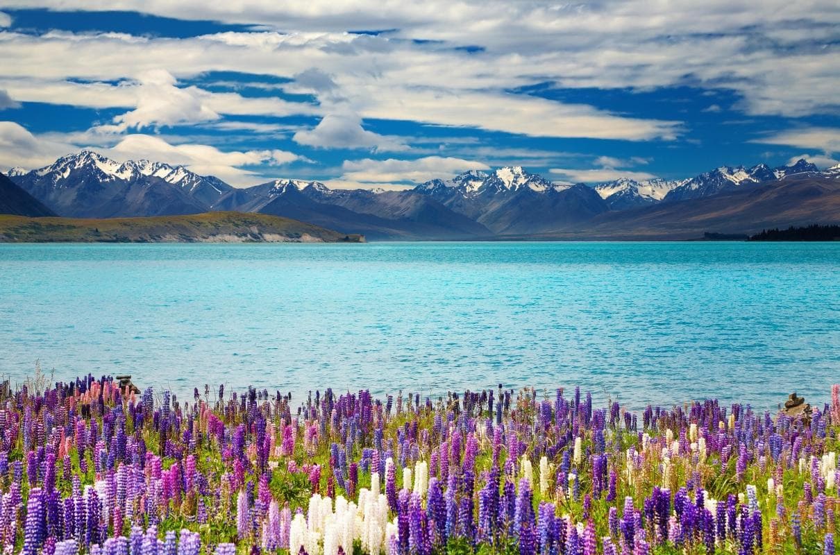 Lake Tekapo