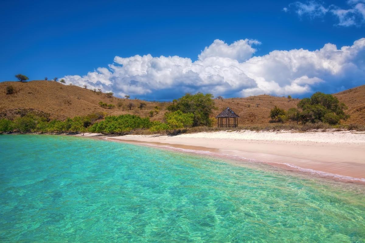 Pink Beach (Pantai Merah Muda)