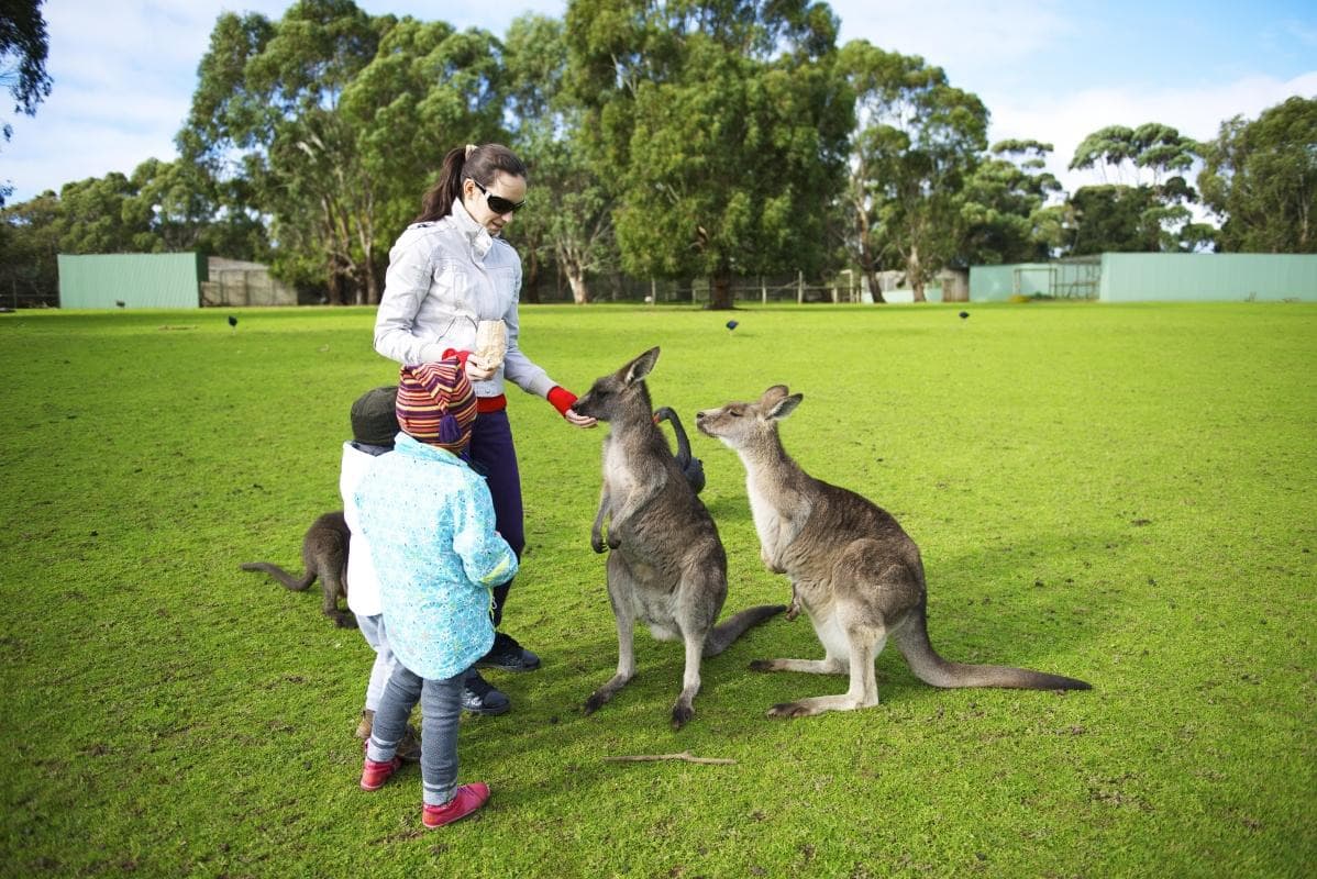 Phillip Island Wildlife Park