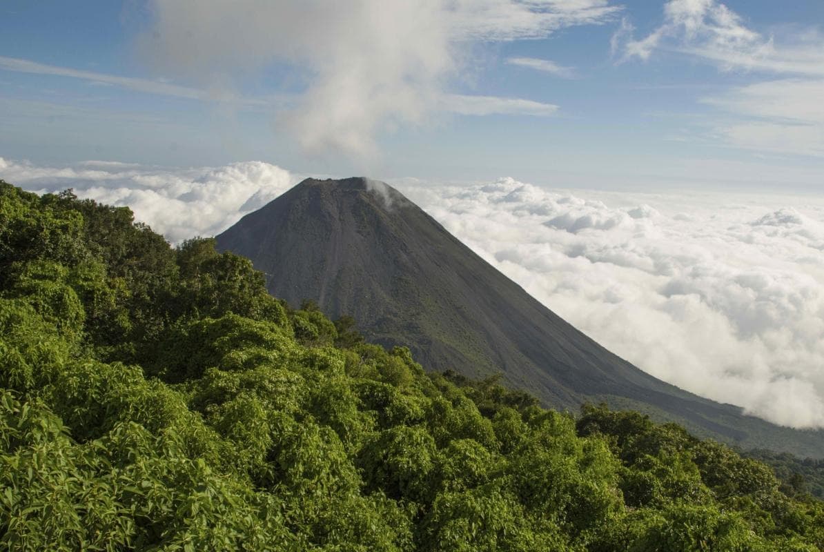 Cerro Verde National Park