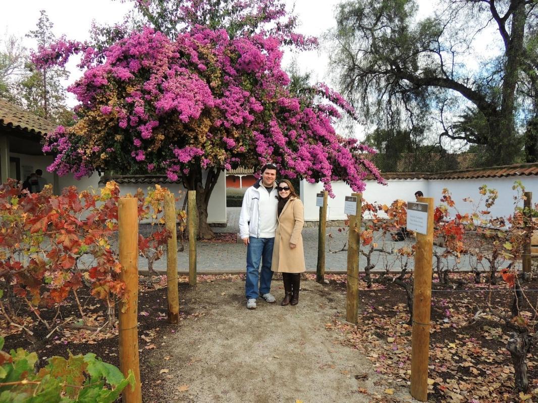 Weingut Santa Rita (Viña Santa Rita)