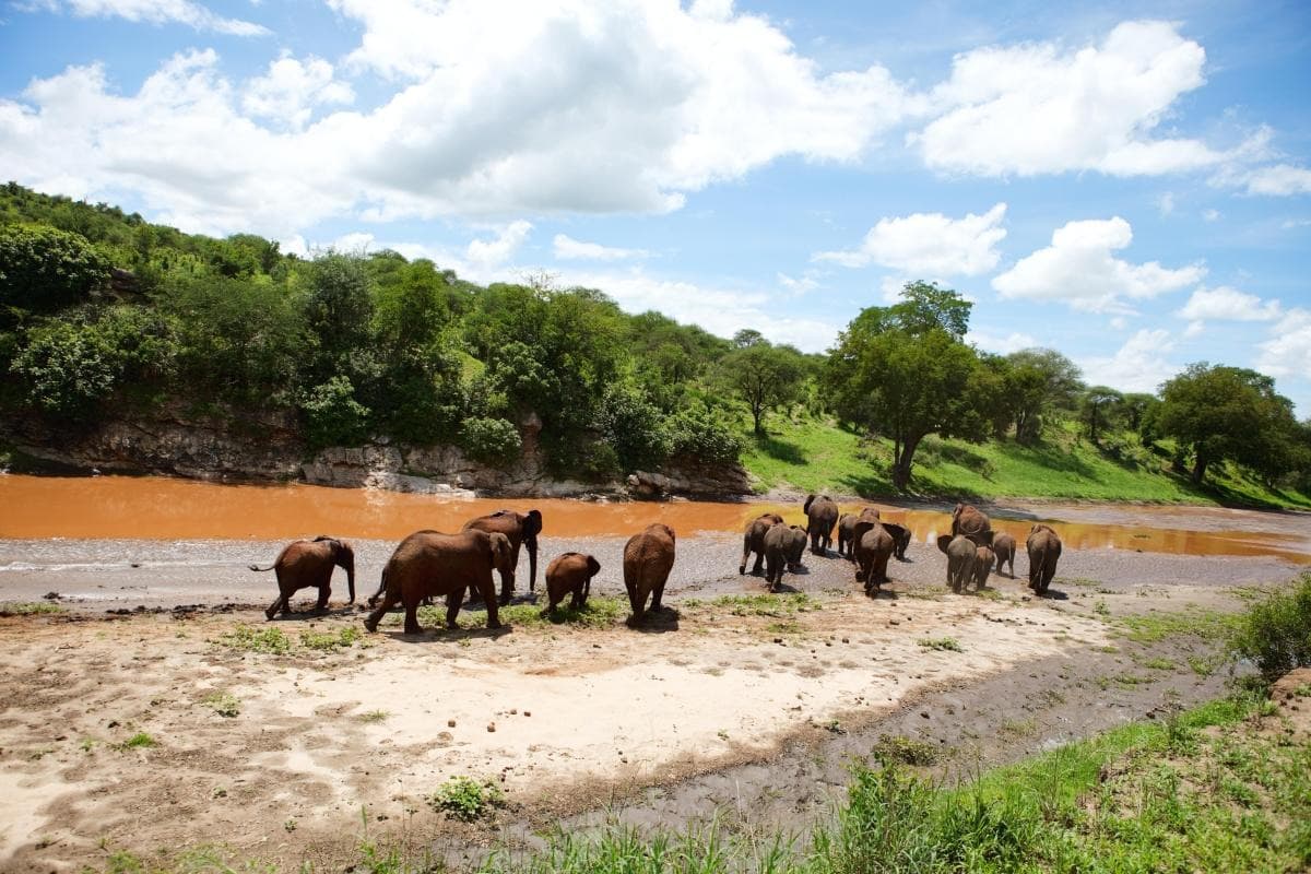 Tarangire National Park