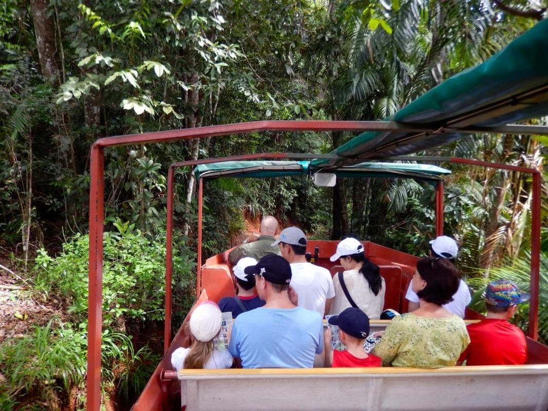 RainForeStation Naturpark