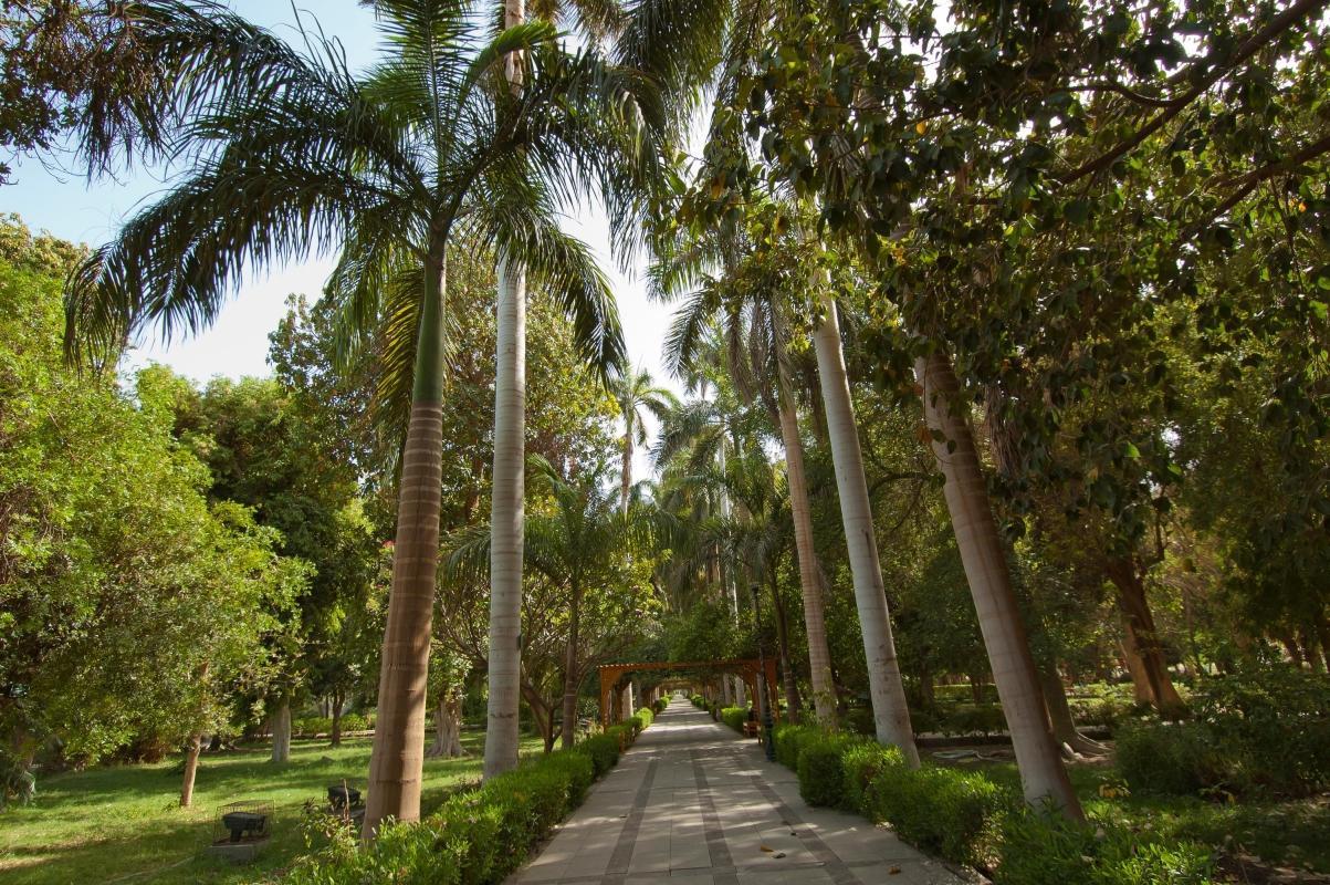 Aswan Botanical Garden