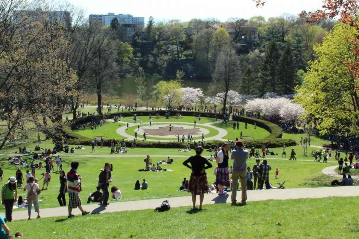 Toronto High Park