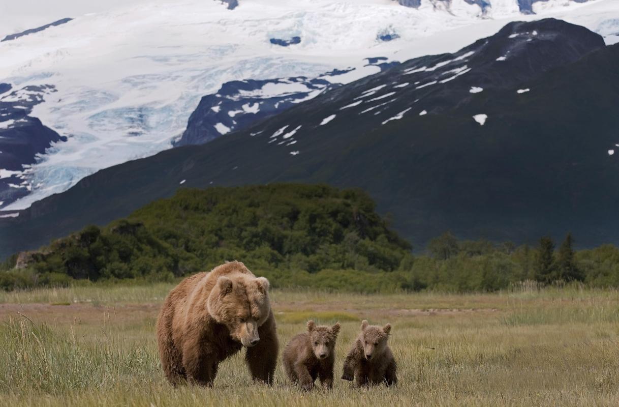 Katmai National Park and Preserve