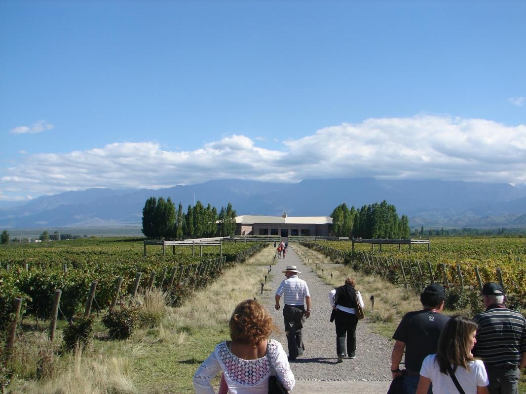 Bodegas Salentein