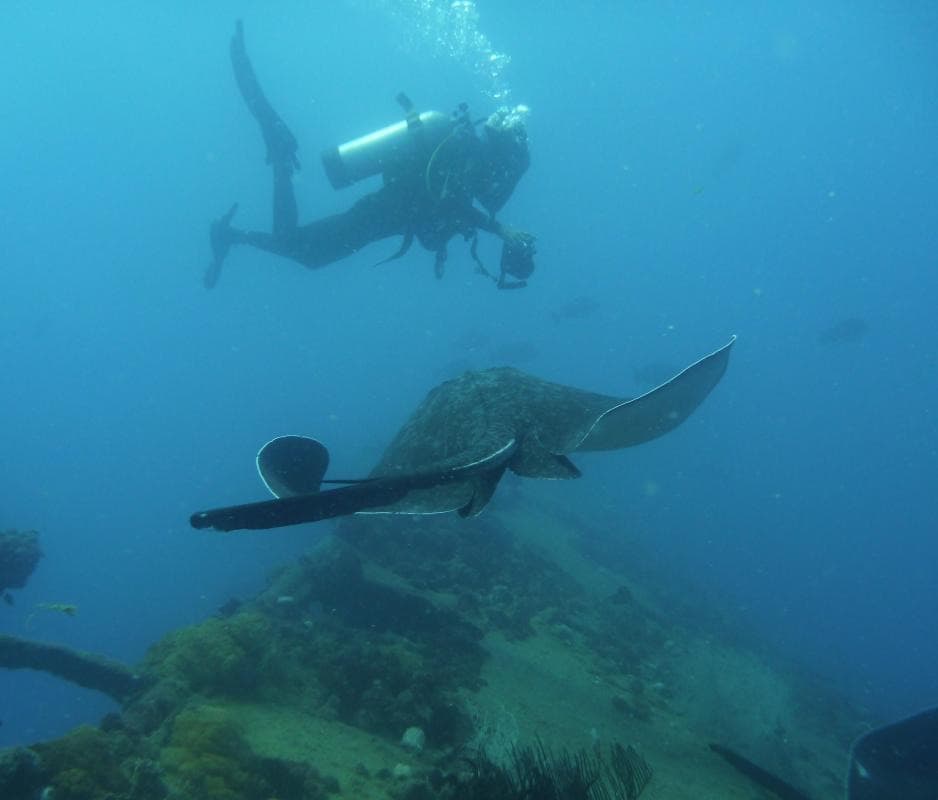 SS Yongala Dive Site