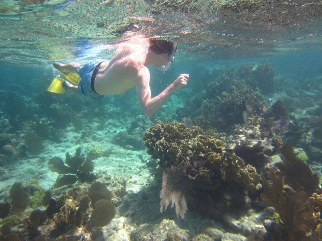 Half Moon Caye Natural Monument