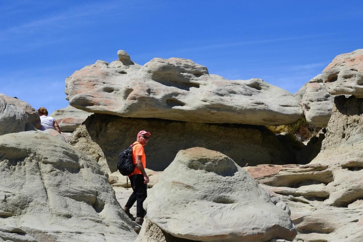 La Leona Petrified Forest