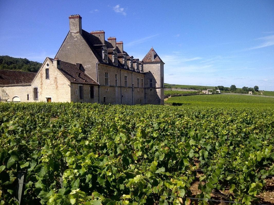 Clos de Vougeot