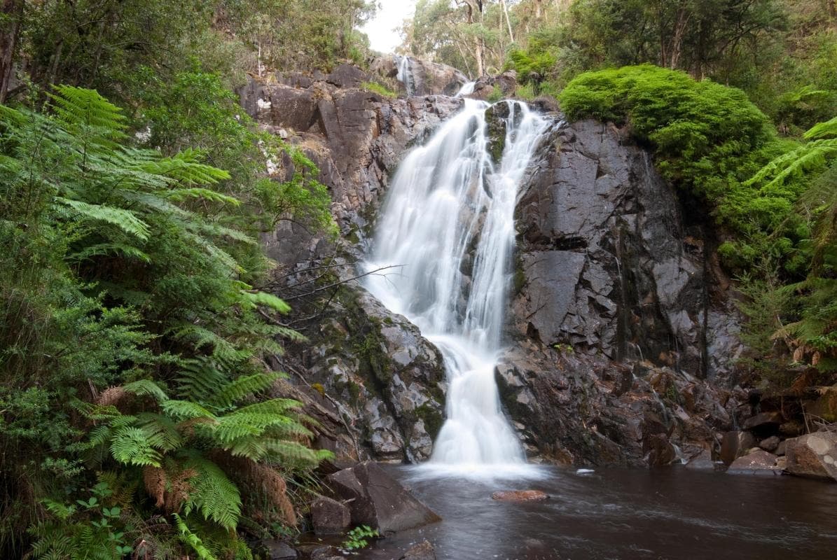 Steavenson Falls