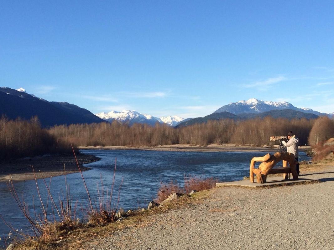 Brackendale Eagles Provincial Park