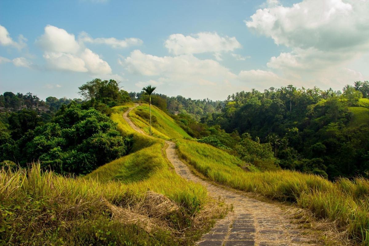 Campuhan Ridge Walk