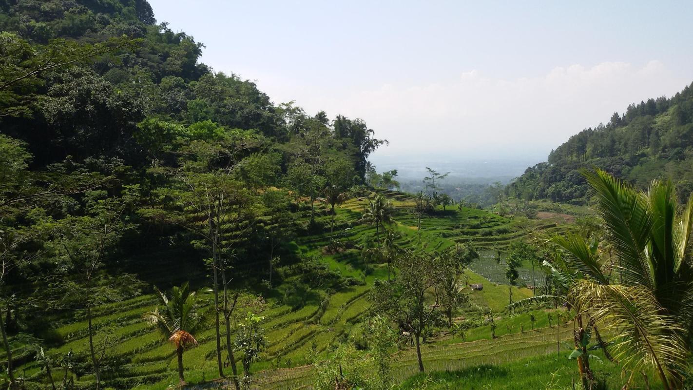 Selogriyo Temple (Candi Selogriyo)