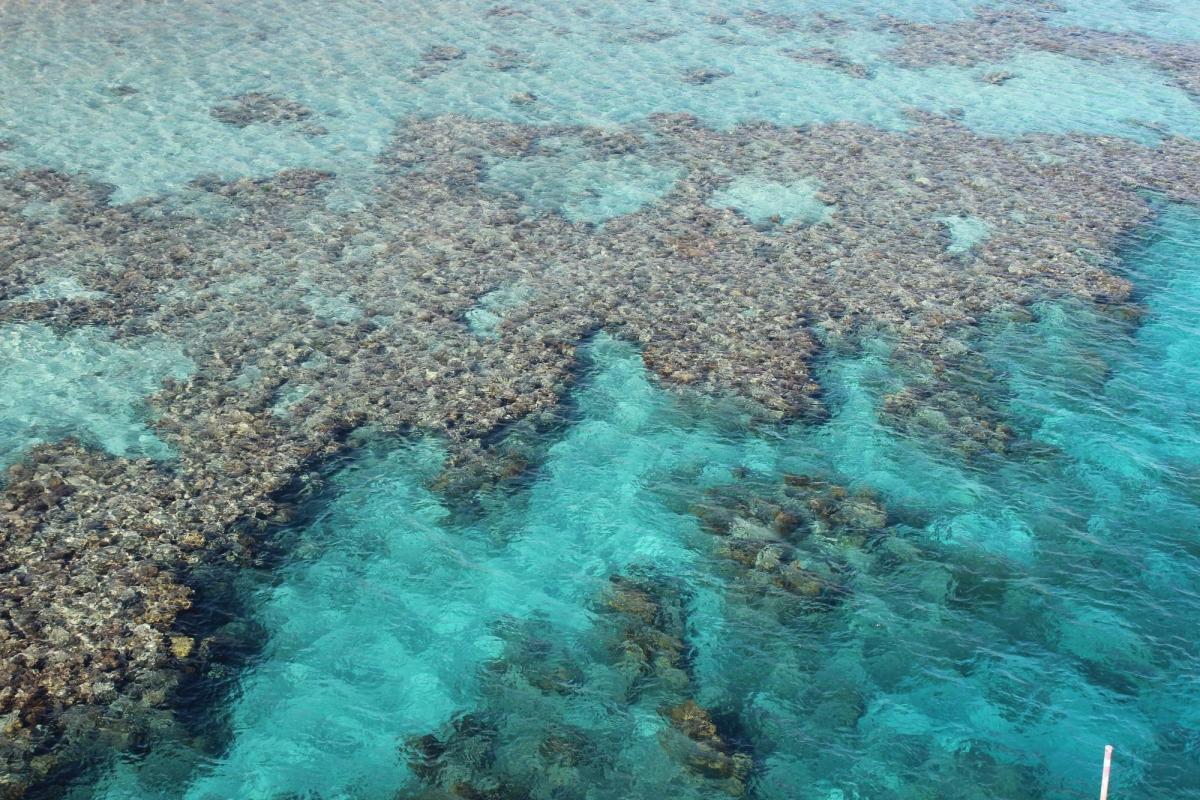 Coral Beach Nature Reserve