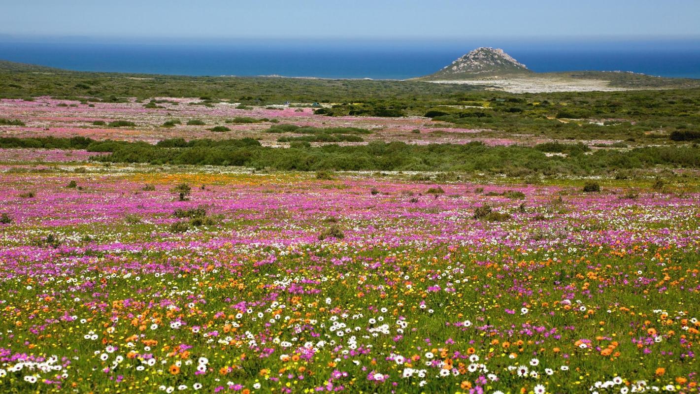 West Coast National Park