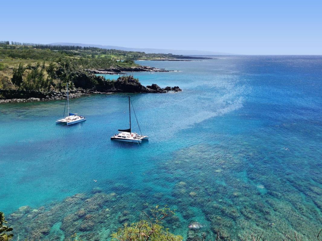 Honolua Bay