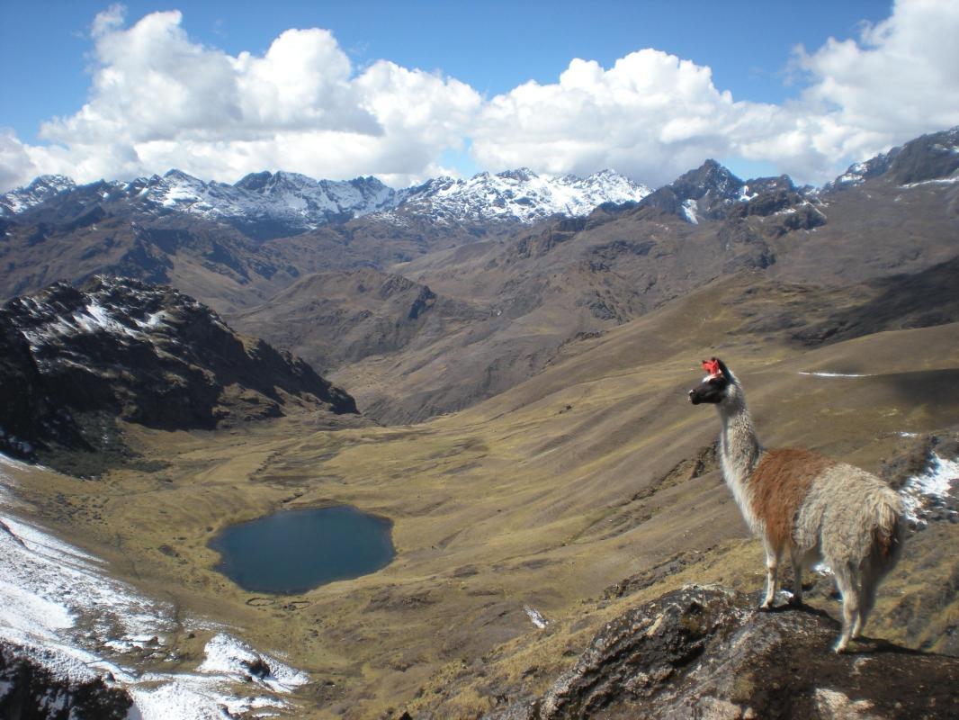 Lares Trek