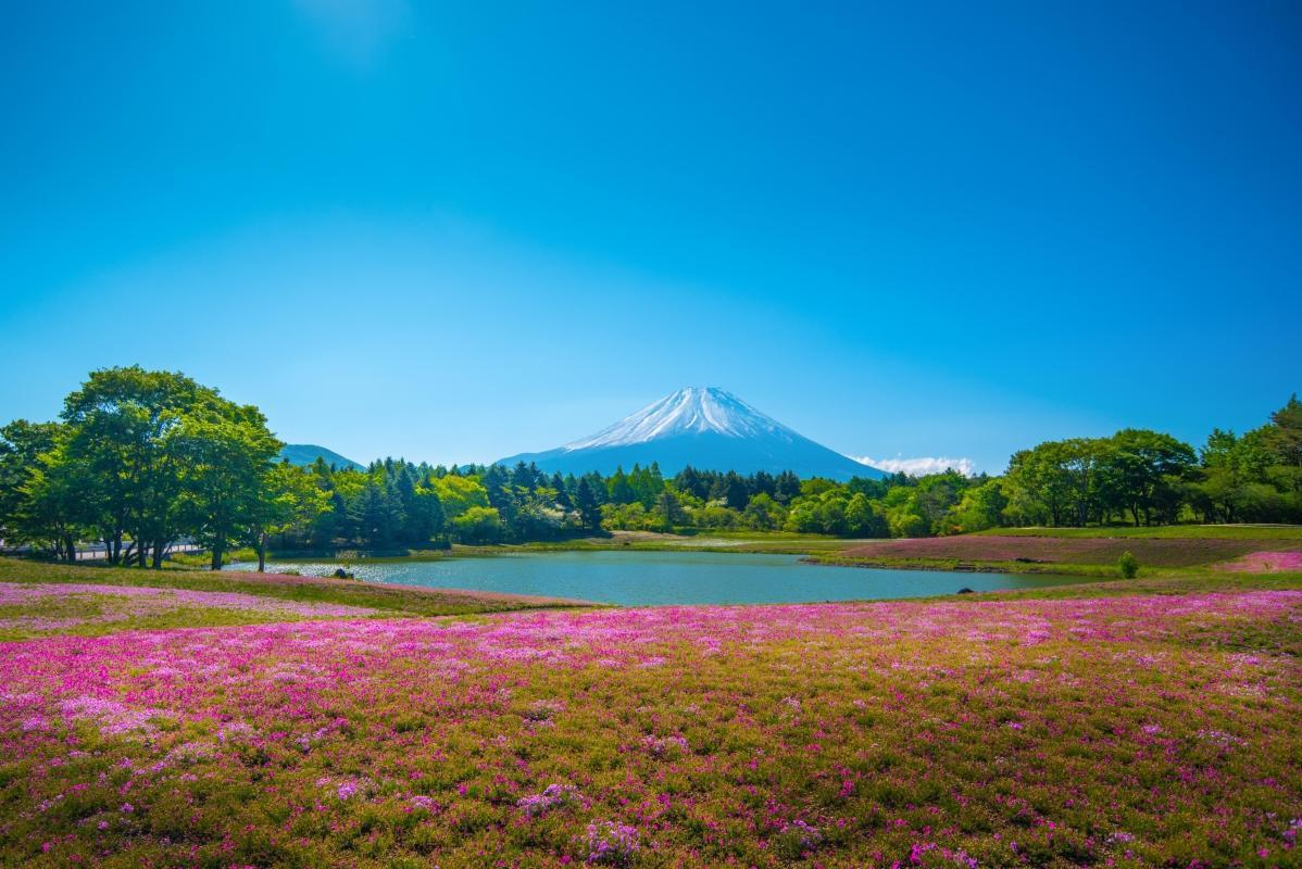 Lake Motosu (Motosu-ko)