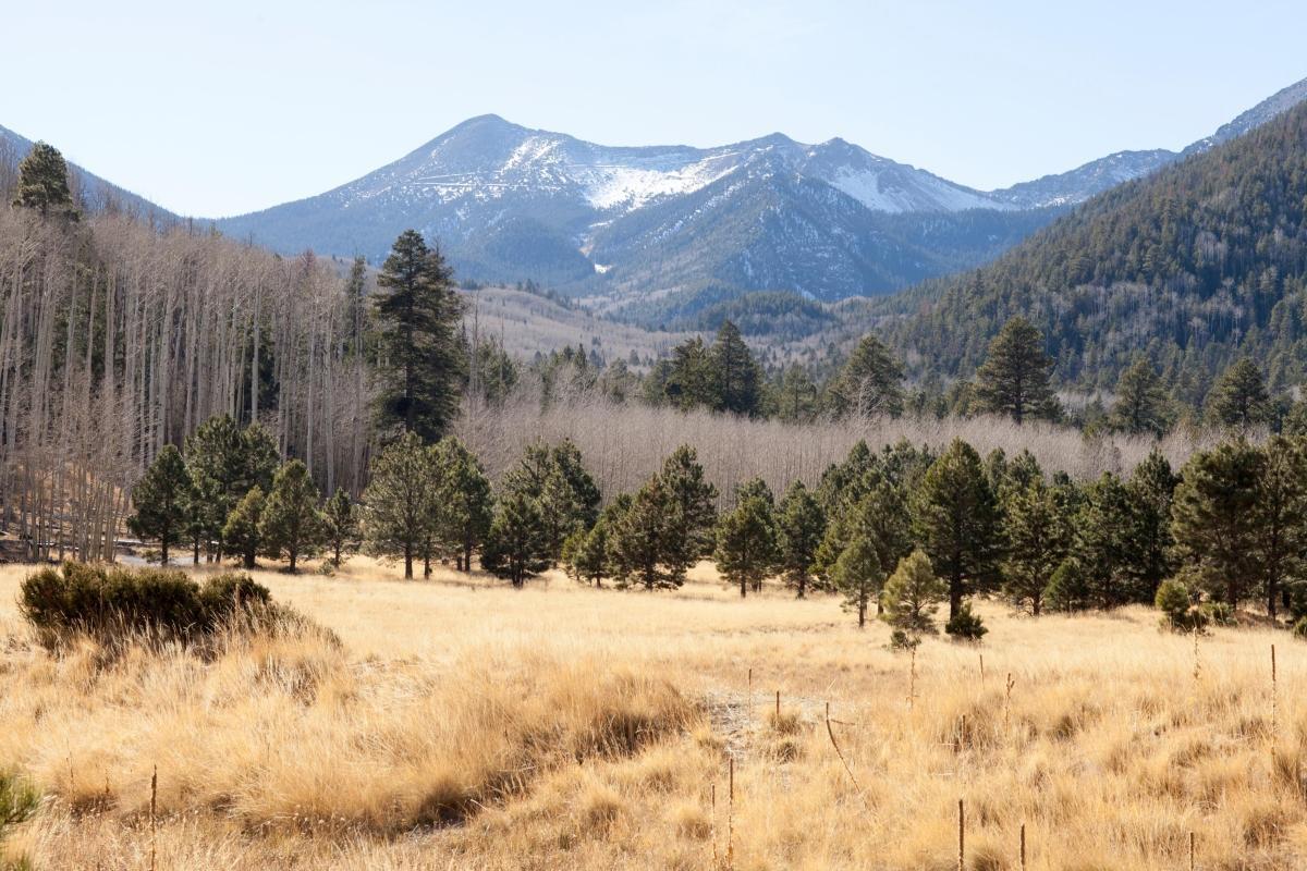 San Francisco Peaks