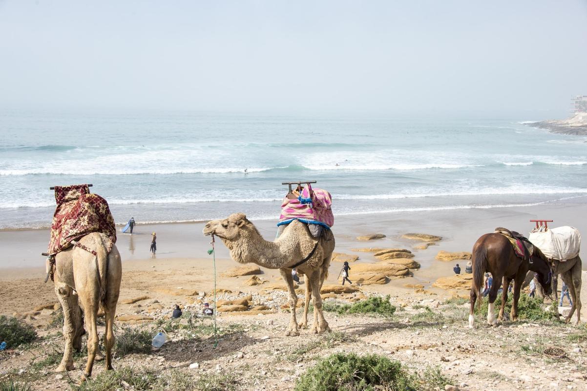 Taghazout Beach