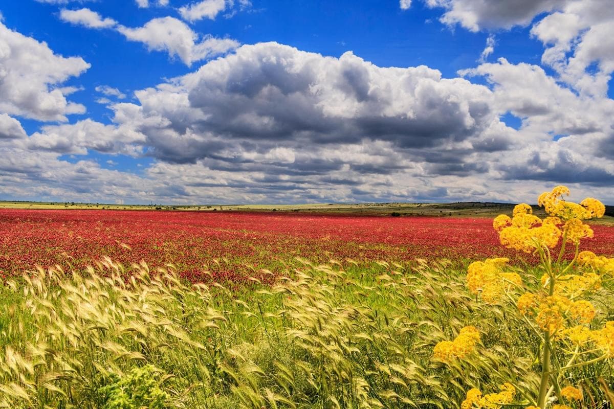 Murgia-Nationalpark (Murgia Materana Park)