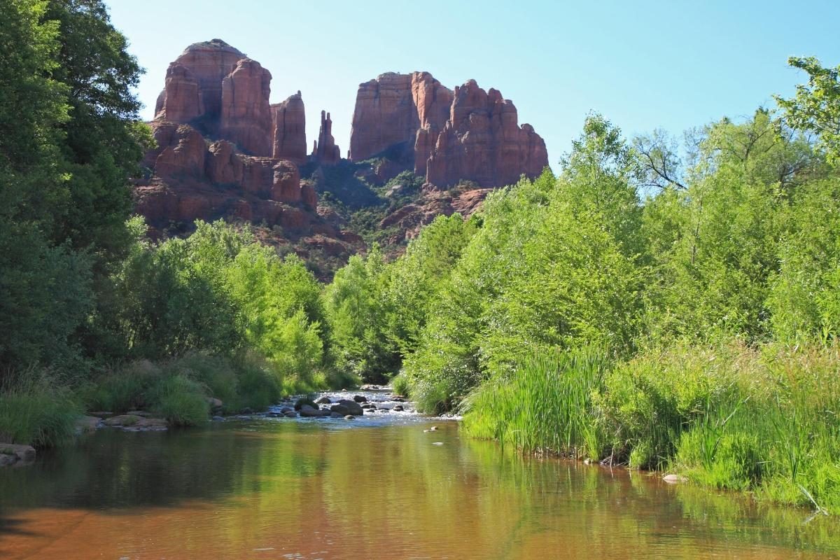 Coconino National Forest