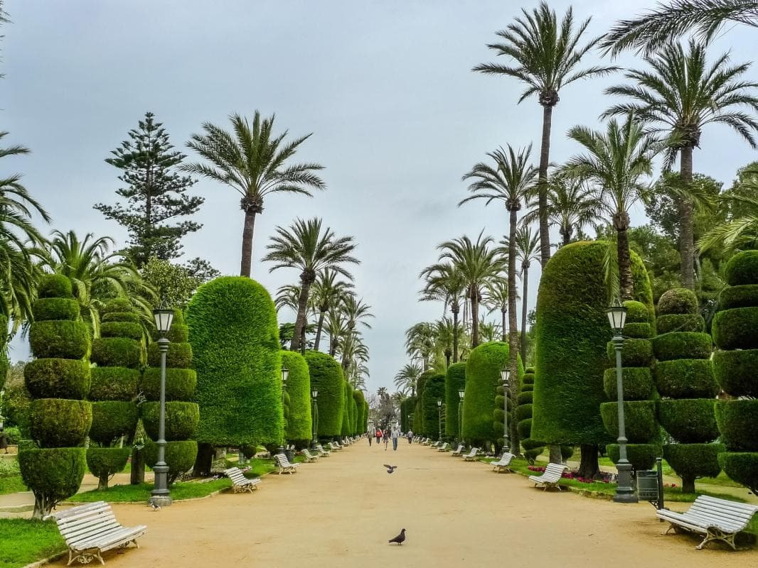 Genovés Park (Parque Genovés)