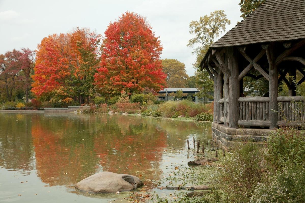 Prospect Park