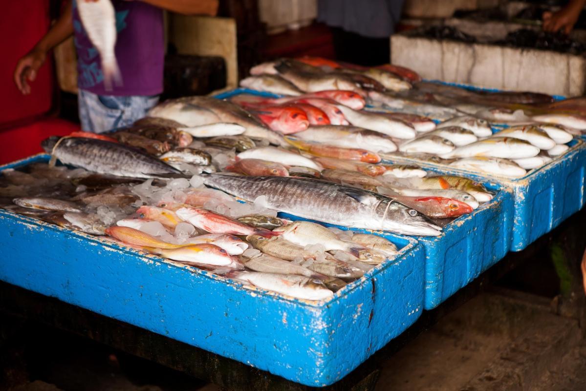 Jimbaran Fish Market (Pasar Ikan Tradisional Kedonganan)