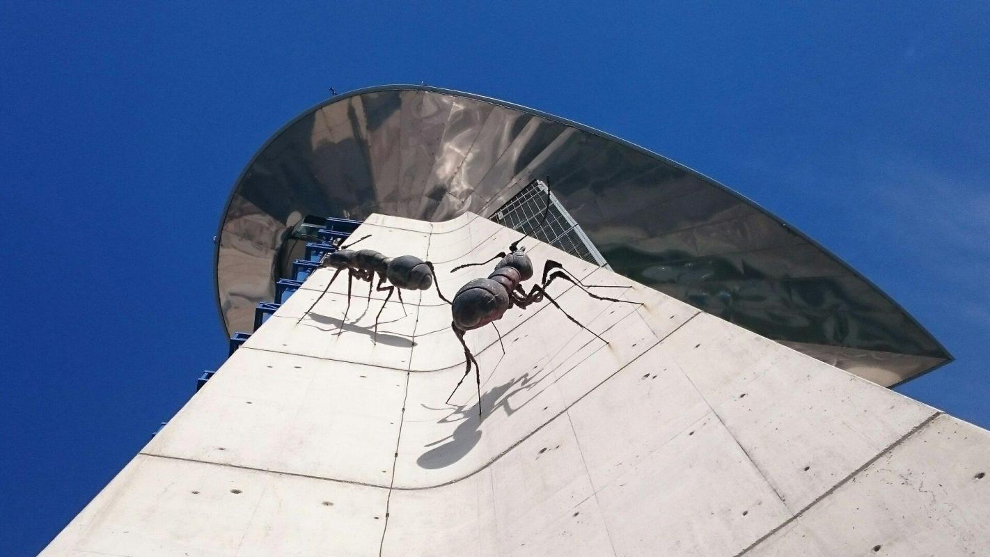 Science Park (Parque de las Ciencias)