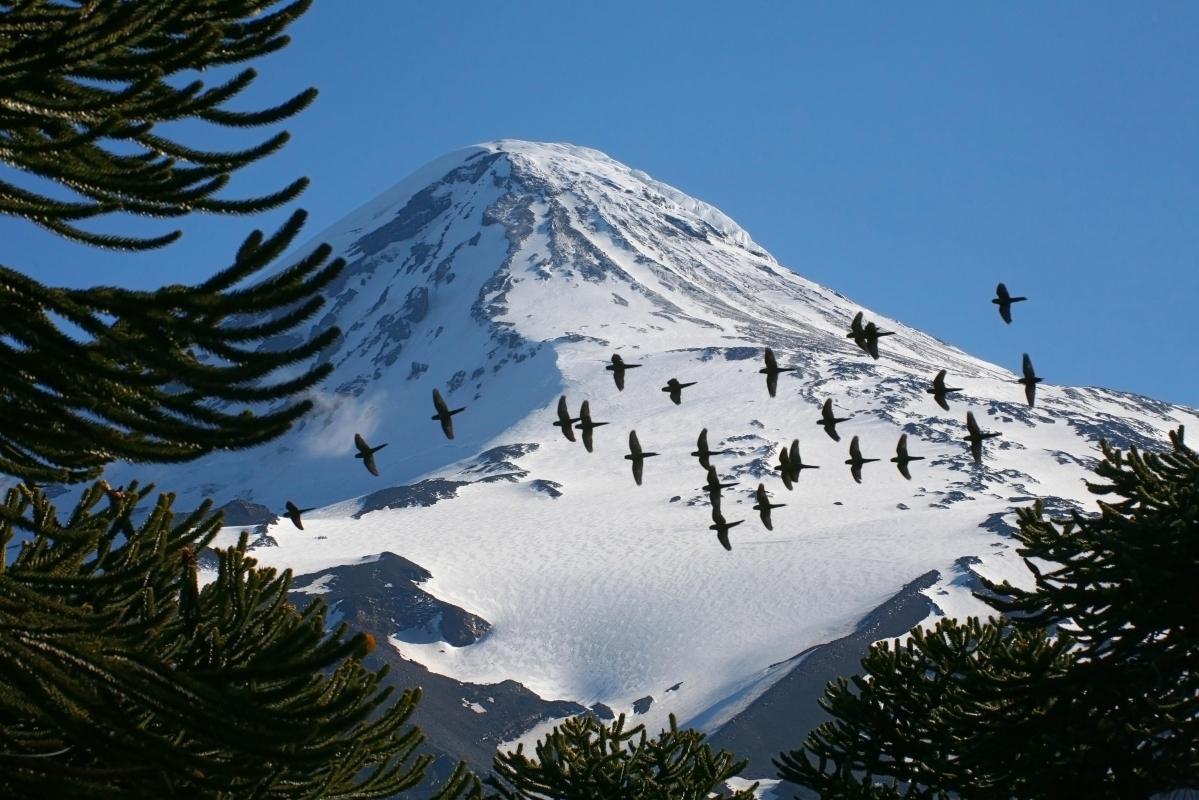 Lanin Volcano