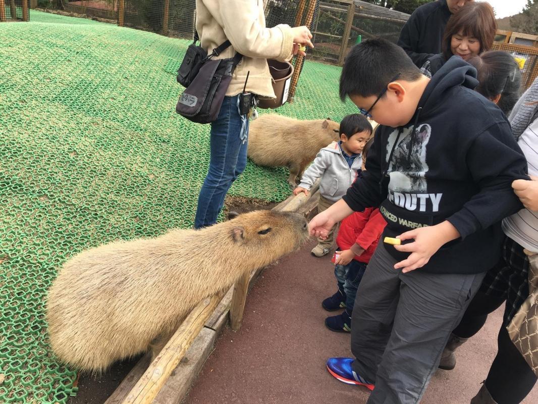 Fuji Safari Park