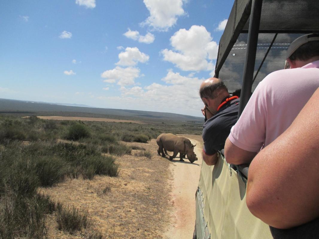 Buffelsfontein Game and Nature Reserve