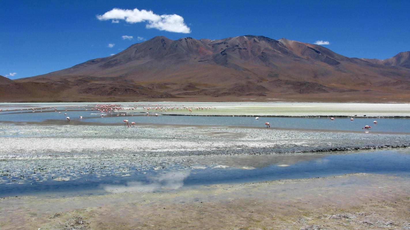 Tunupa Volcano