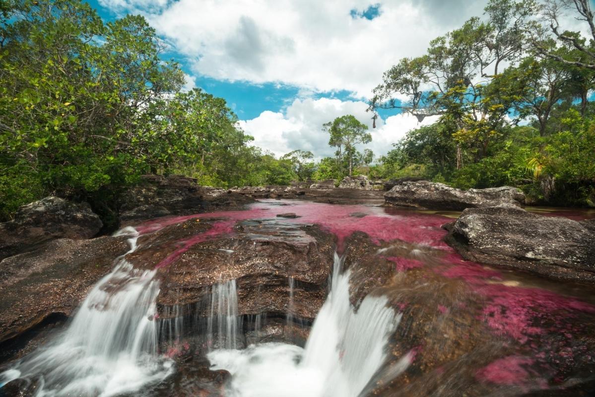 Caño Cristales