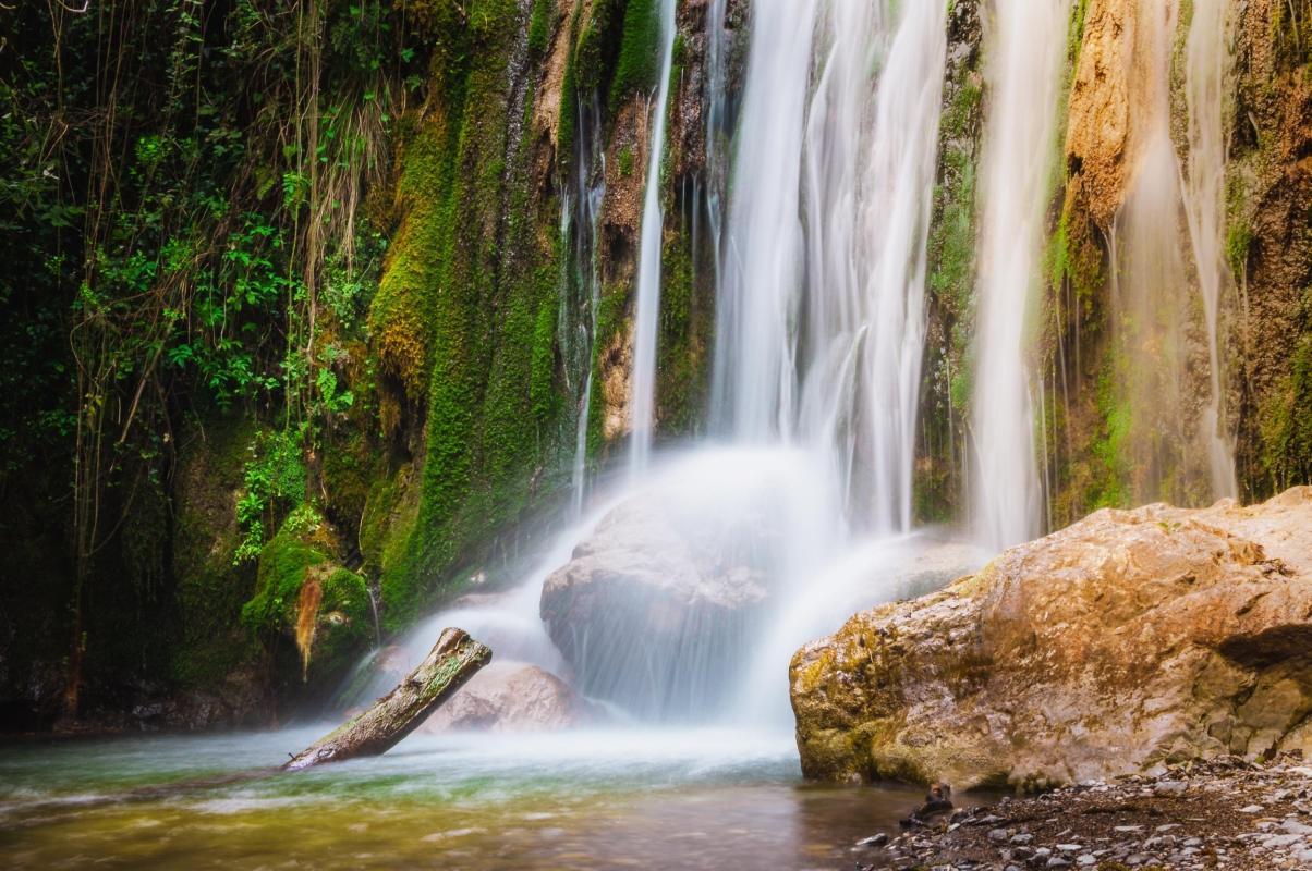 Ferriere Valley Nature Reserve (Riserva Statale Valle delle Ferriere)