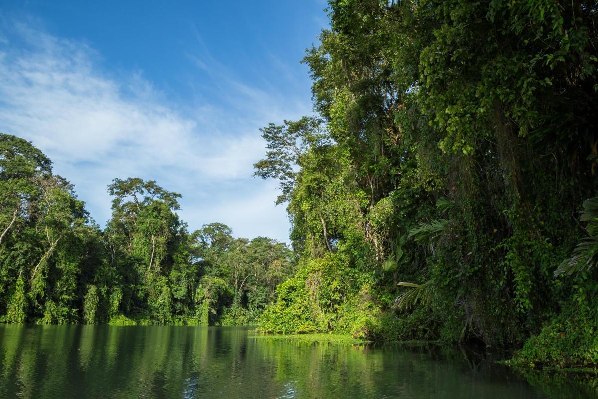 Tortuguero National Park (Parque Nacional Tortuguero)