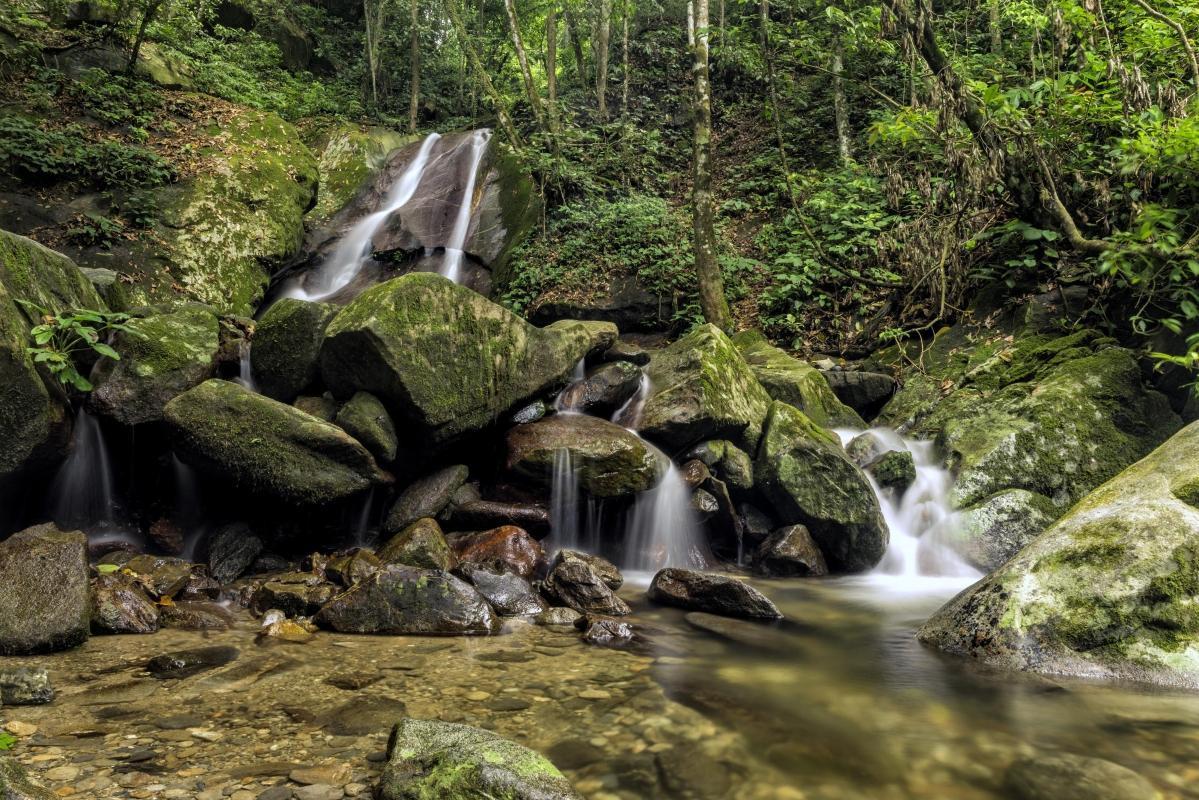 Poring Hot Spring & Nature Reserve (Poring Hot Springs)