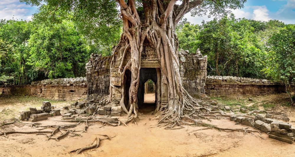 Ta Som Temple (Prasat Ta Som)