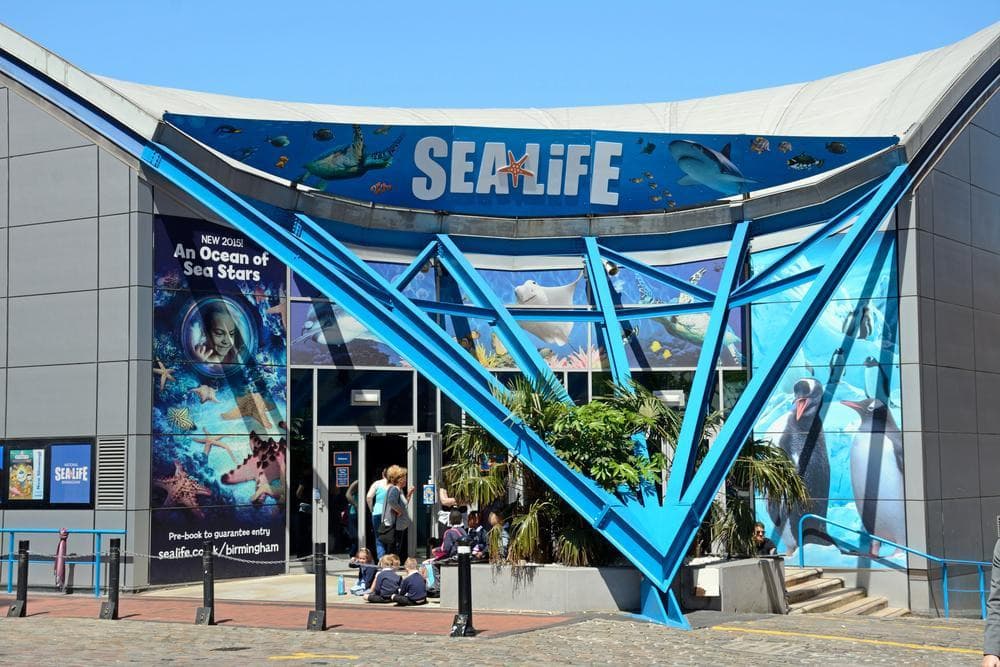 Национальный центр SEA LIFE® в Бирмингеме