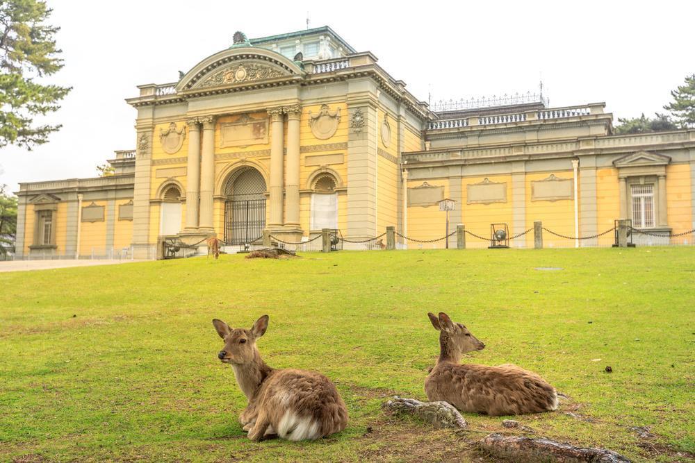 Nara National Museum